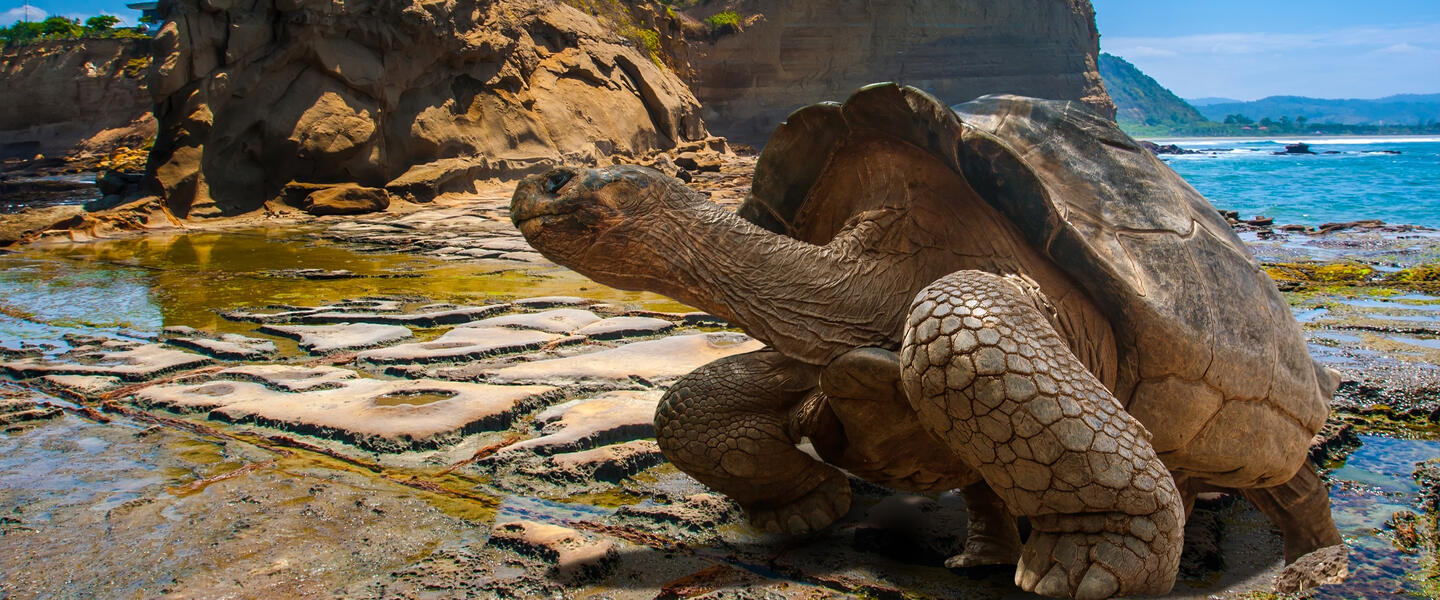 Große Südamerika Rundreise mit Galápagos