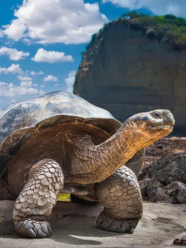Ecuador und Galápagos - ein Land voller Wunder