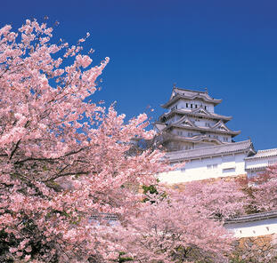 Japan für Entdecker Japan für Entdecker