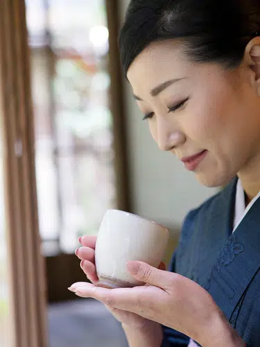 Japans grünes Gold - eine Teereise für die Sinne