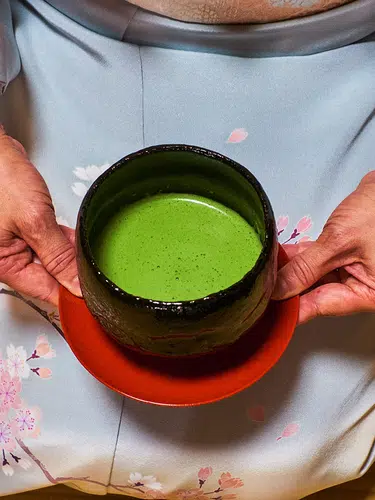 Japans grünes Gold - eine Teereise für die Sinne