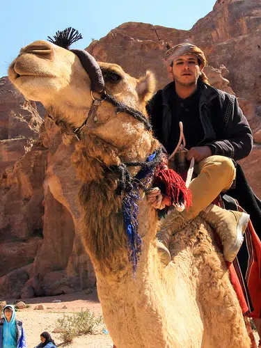 Jordanien Highlights
