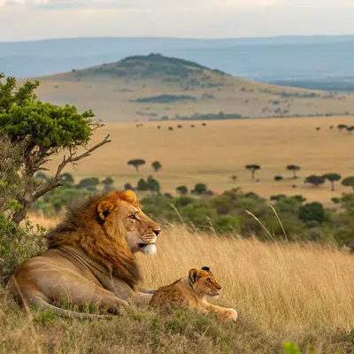 Kenia - magische Tierwelt und tropische Küste