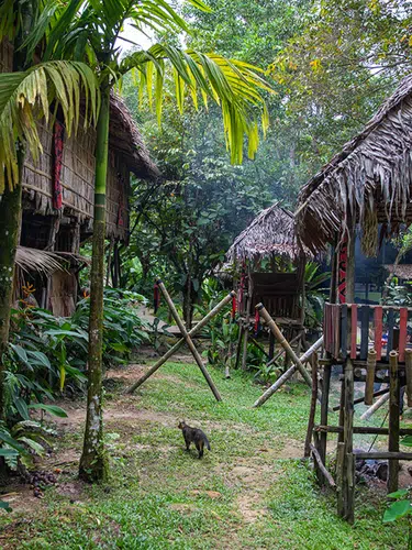 Naturparadies Borneo