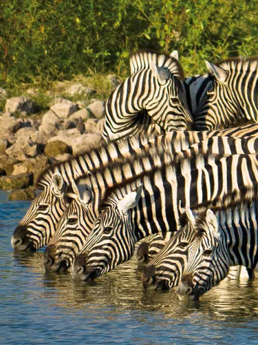 Entdeckungsreise Namibia