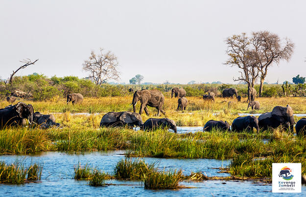 Naturschätze im südlichen Afrika Naturschätze im südlichen Afrika