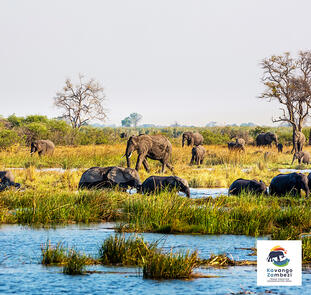Naturschätze im südlichen Afrika