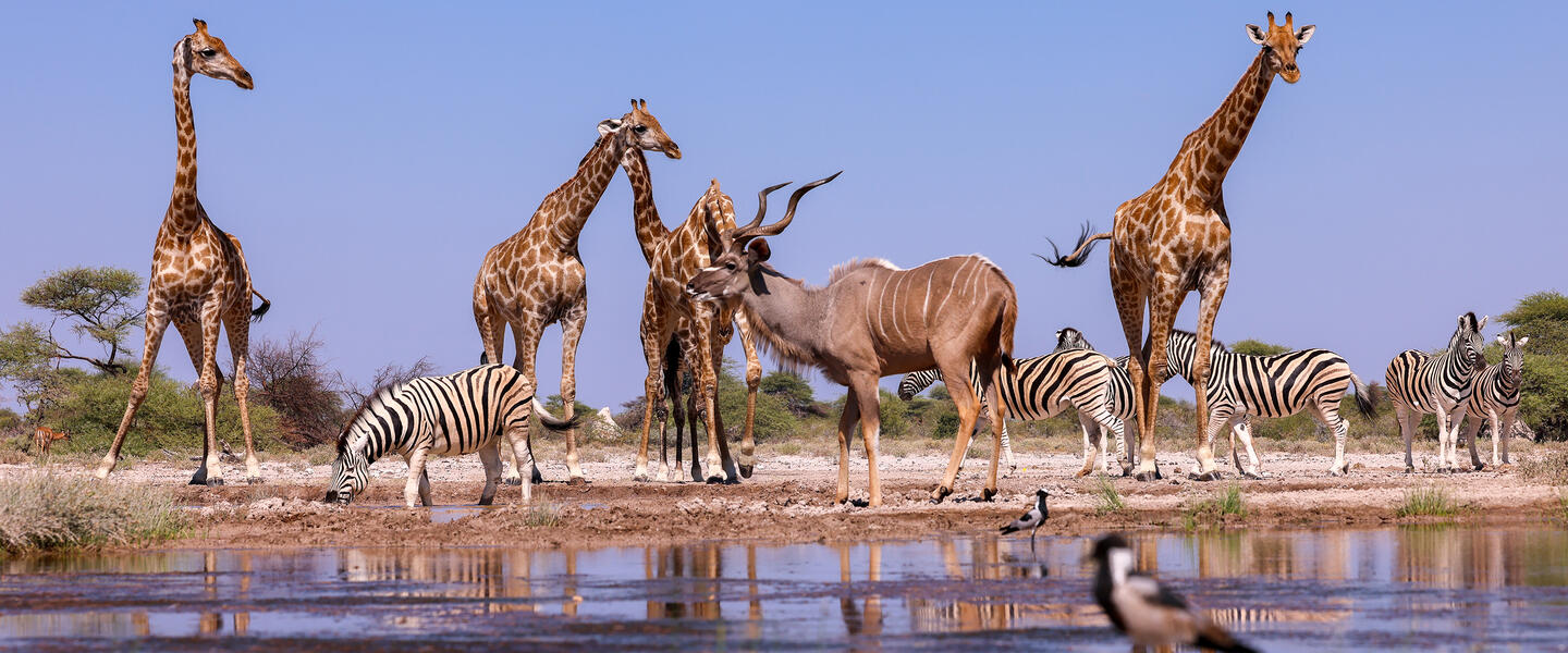 Namibia hautnah - Wüste, Weite und Sternenhimmel