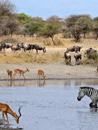 Südafrika - freie Wildnis und Indischer Ozean