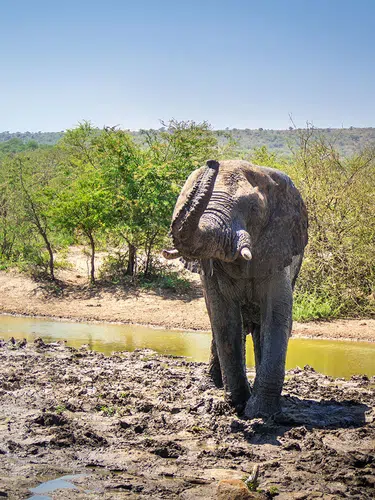Die große Südafrika-Reise