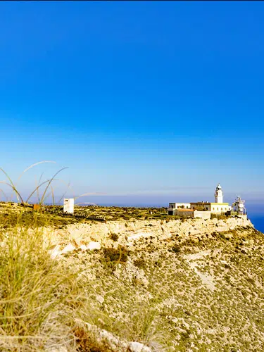 Entlang der Costa Blanca - "Paella, Palmen und Meer"