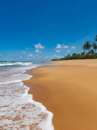 Der Zauber Sri Lankas