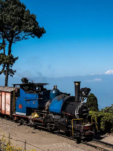 Indien - Tea Time in Assam, Darjeeling und Sikkim