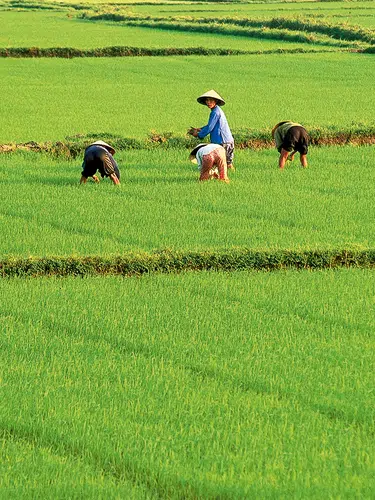 Vietnam auf einen Blick