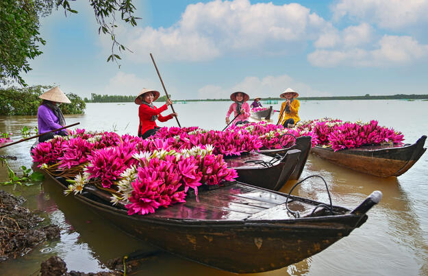Vietnam zum Kennenlernen (2027) Vietnam zum Kennenlernen (2027)