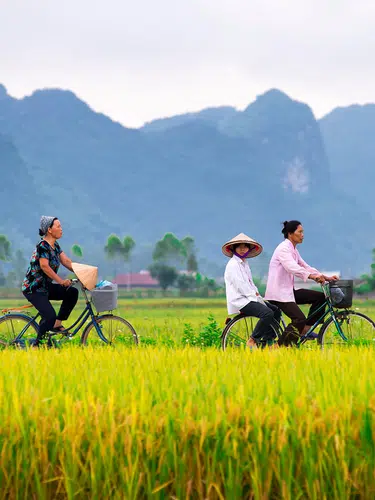 Vietnam per Rad und Rikscha