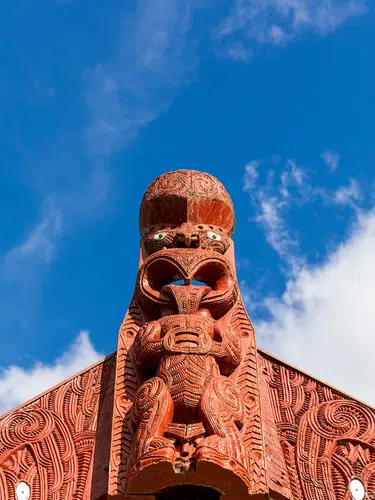 Neuseeland auf Schritt und Tritt