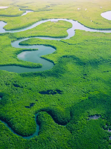 Gambia entdecken