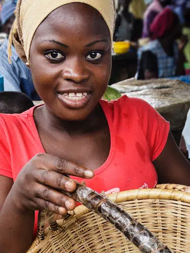 Senegal und Gambia - Westafrika erleben