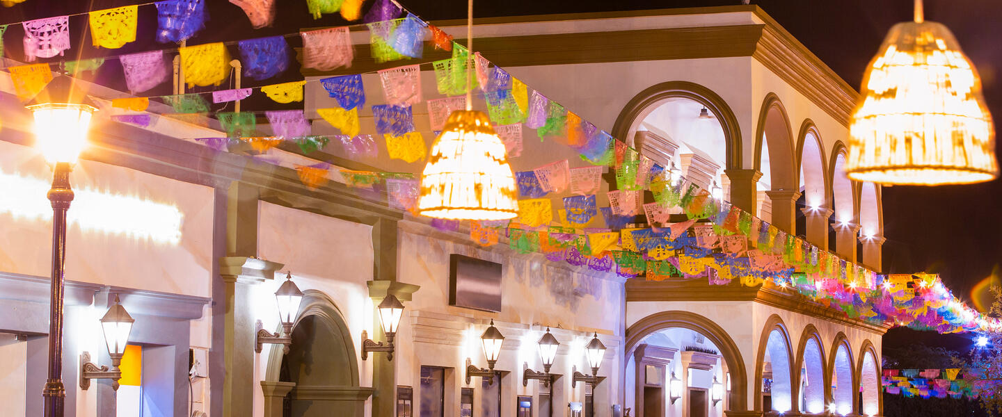 Baja California Sur - unbekanntes Naturparadies