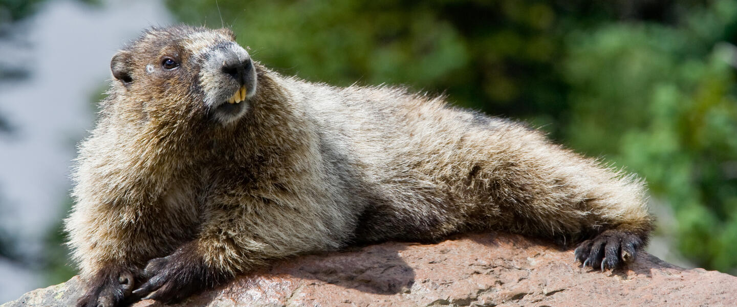 USA und Kanada: Höhepunkte der Ostküste