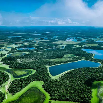 Naturparadies Pantanal