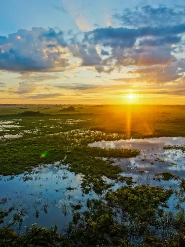 Naturparadies Pantanal