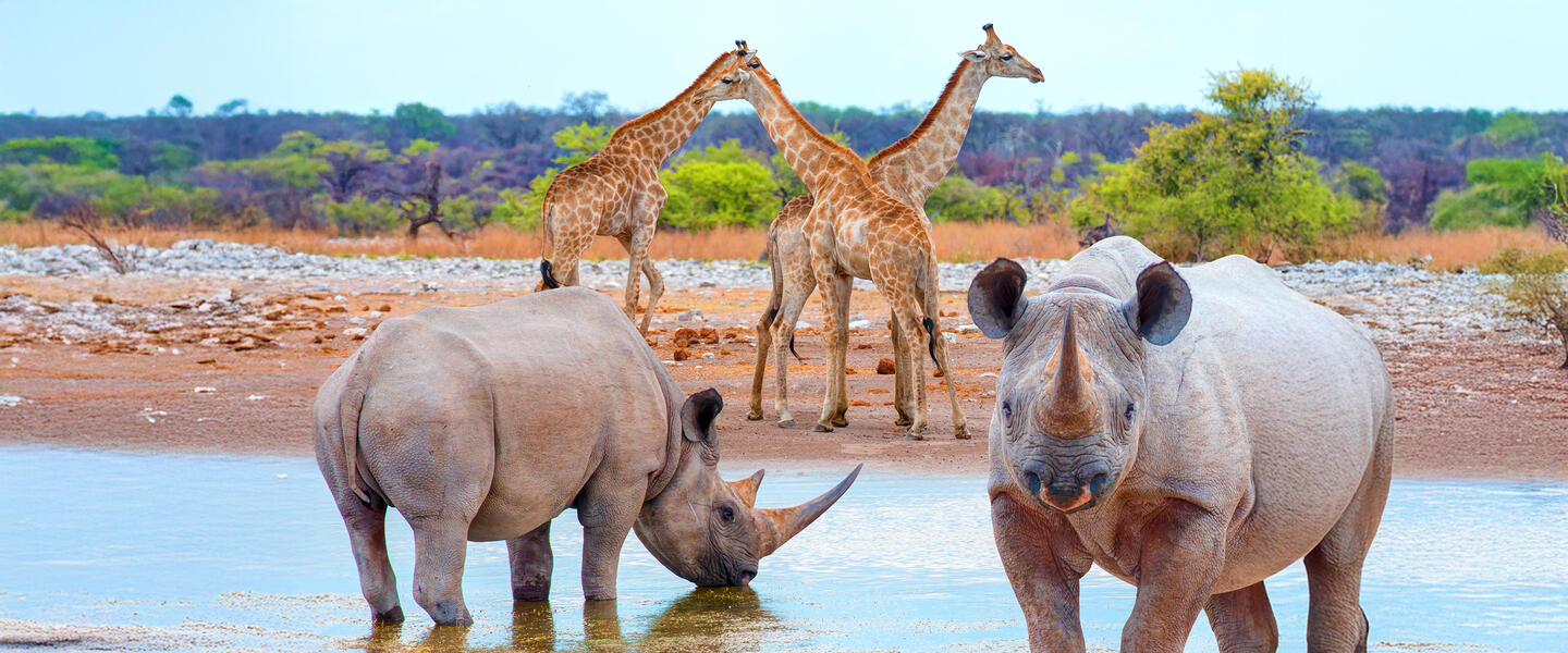 Namibia - von Windhoek zu den Victoria-Fällen privat