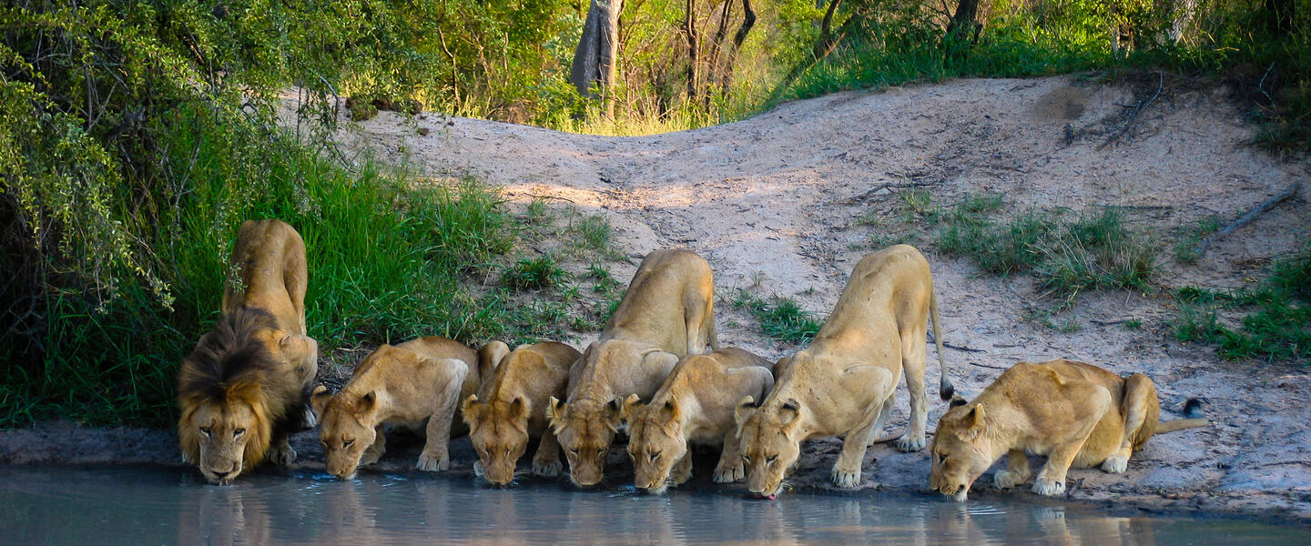 Südafrika Classics privat