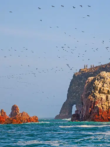 Paracas - Wüste und Meer