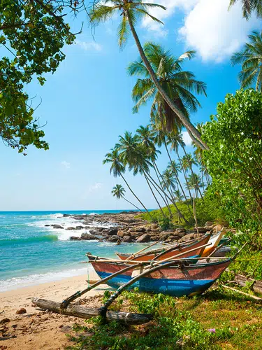 Sehnsuchtsland Sri Lanka