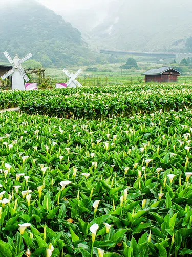 Naturparadies Taiwan